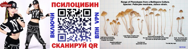кракен ONION  Донской  Псилоцибиновые грибы Cubensis 