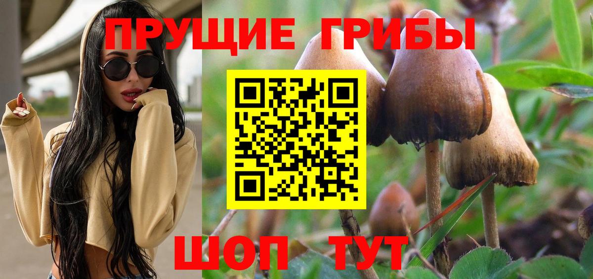 Псилоцибиновые грибы мухоморы  Псилоцибиновые грибы прущие грибы  Вход с VPN  Донской 